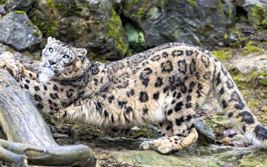 1755544 (a): :1920x1200